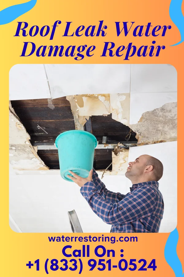 Roof Leak Water Damage Repair in Brownstown, IL